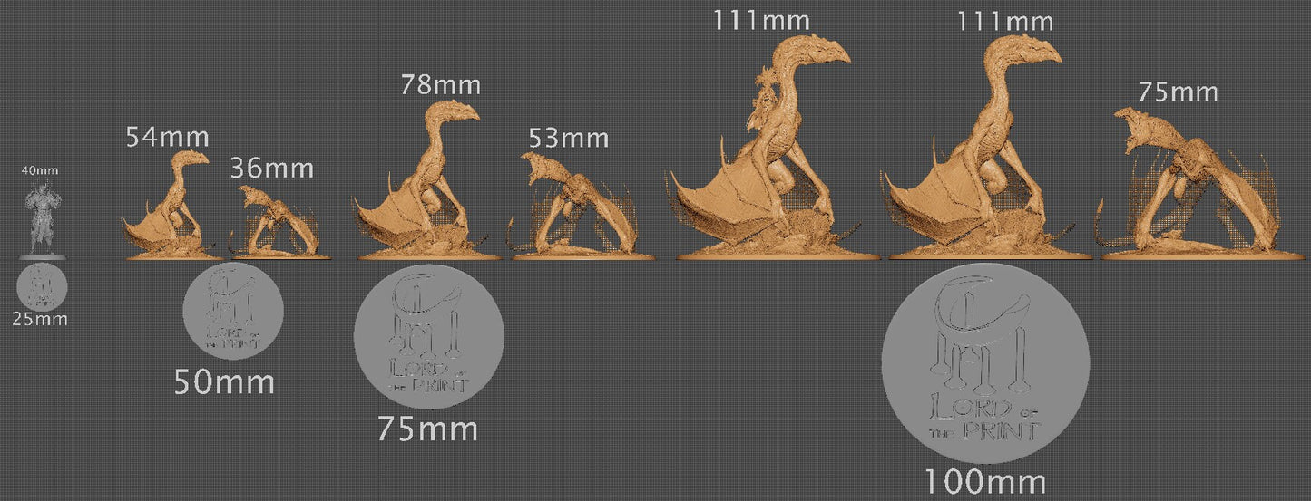 Protowyvern, Dinotopia, Lord of the Print | Dungeons and Dragons | Pathfinder | Table Top RPG | 3D Printed Model