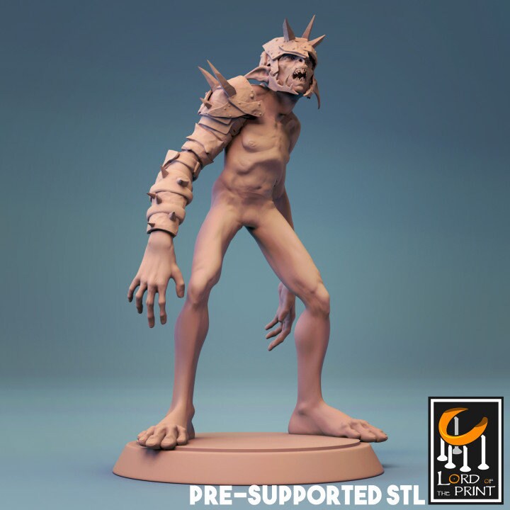 Goblins, Lord of the Print | Dungeons and Dragons | Pathfinder | Table Top RPG | 3D Printed Model