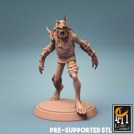 Goblins, Lord of the Print | Dungeons and Dragons | Pathfinder | Table Top RPG | 3D Printed Model