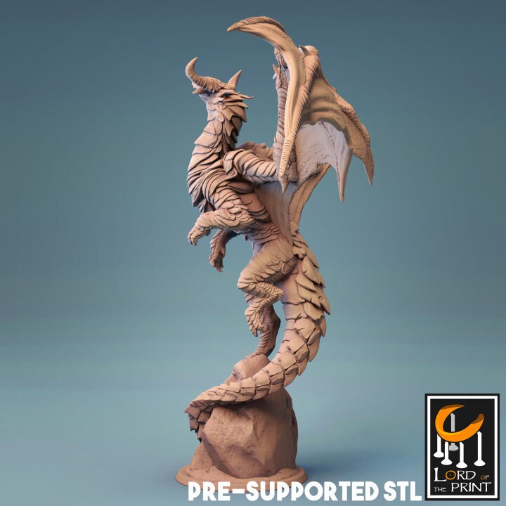 Young Cloud Dragon, The Heaven Dragon, Lord of the Print | Dungeons and Dragons | Pathfinder | Table Top RPG | 3D Printed Model