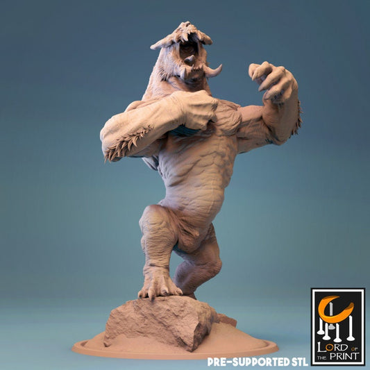 Balgura, Demons, Lord of the Print | Dungeons and Dragons | Pathfinder | Table Top RPG | 3D Printed Model