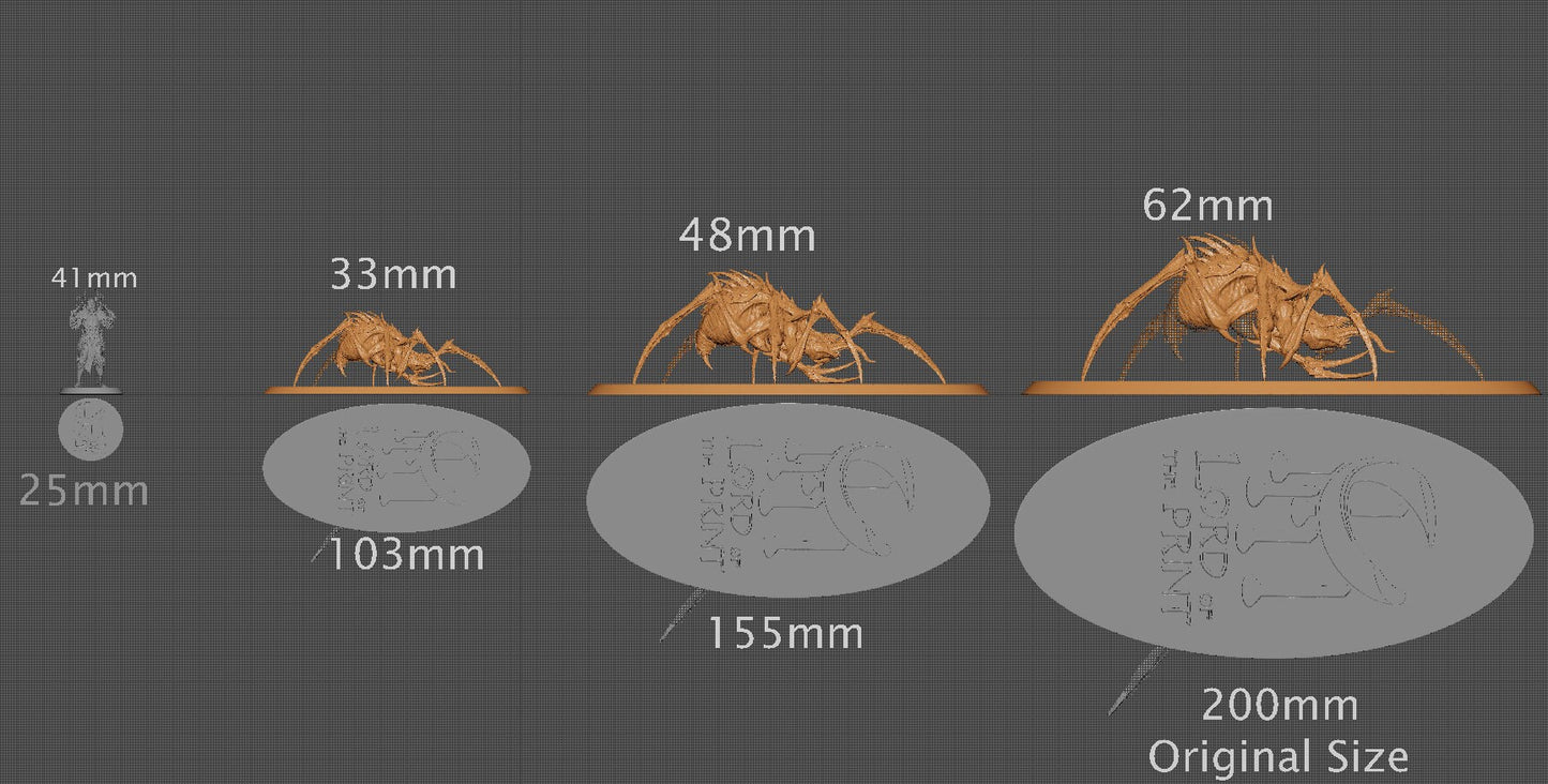 Pestilence Spider, Lord of the Print| Dungeons and Dragons | Pathfinder | Table Top RPG | 3D Printed Model