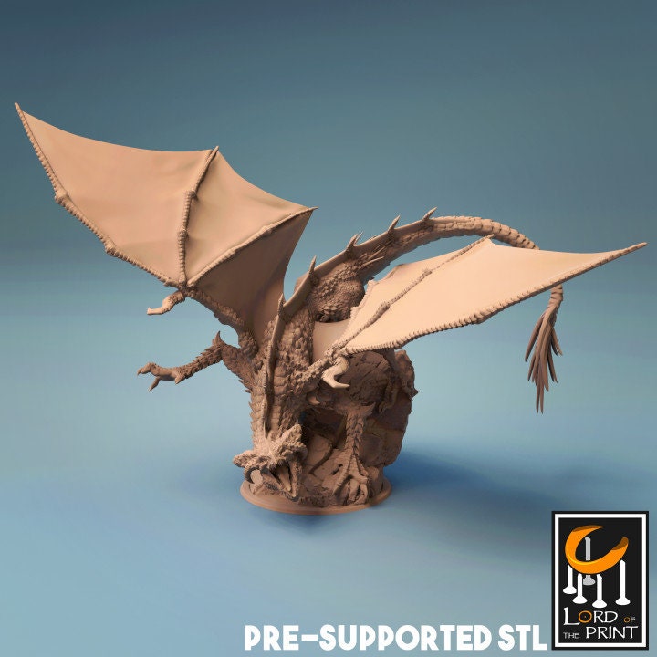 Young Black Dragon, The Skull Dragon, Lord of the Print | Dungeons and Dragons | Pathfinder | Table Top RPG | 3D Printed Model