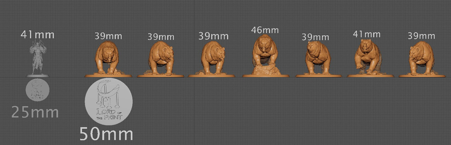 Wild Bears, Lord of the Print | Dungeons and Dragons | Pathfinder | Table Top RPG | 3D Printed Model