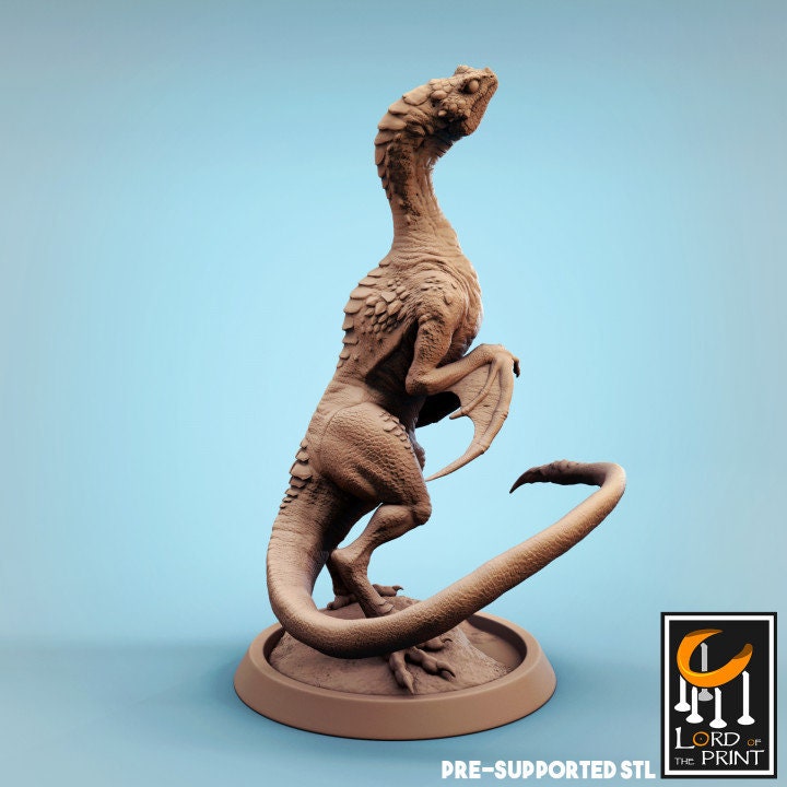 Vouivre Baby, Lord of the Print | Dungeons and Dragons | Pathfinder | Table Top RPG | 3D Printed Model