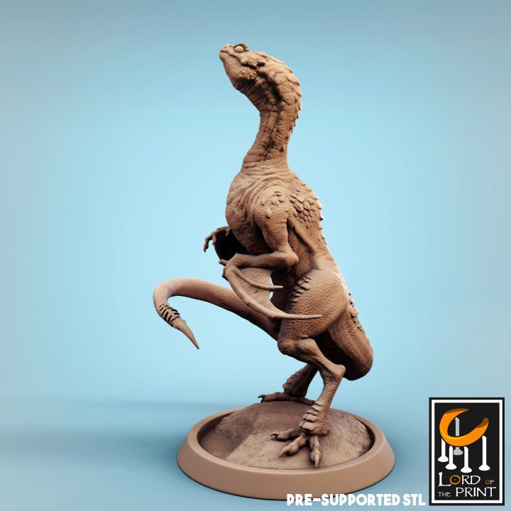 Vouivre Baby, Lord of the Print | Dungeons and Dragons | Pathfinder | Table Top RPG | 3D Printed Model