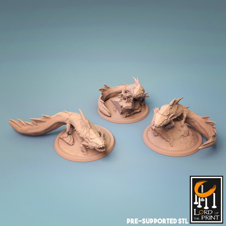 Placurdo, Axolotl, Lord of the Print | Dungeons and Dragons | Pathfinder | Table Top RPG | 3D Printed Model