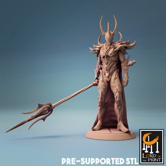 King Radrun, Lord of the Print | Dungeons and Dragons | Pathfinder | Table Top RPG | 3D Printed Model