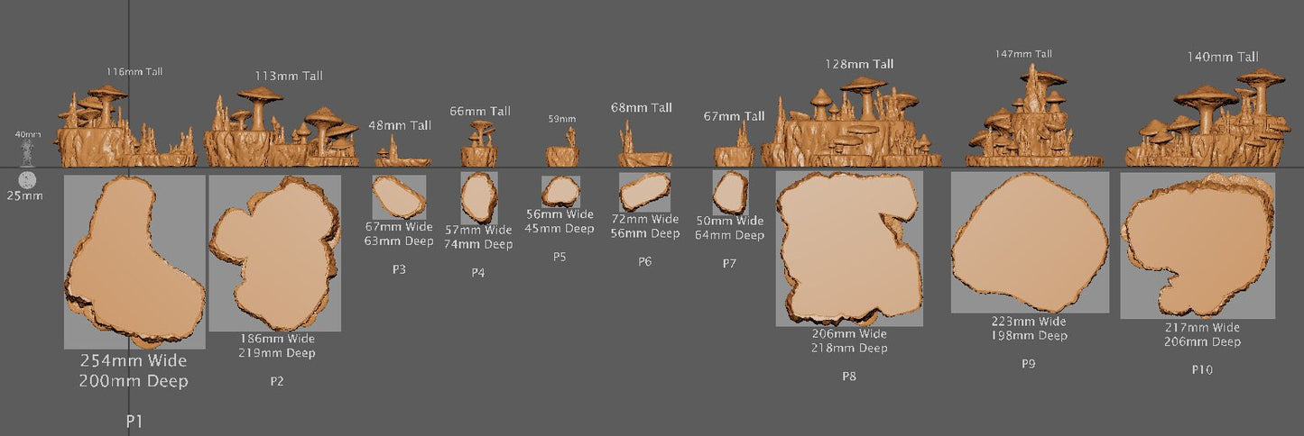 Mushroom Cavern, Miniature Land | Dungeons and Dragons | Pathfinder | Table Top RPG | 3D Printed Model