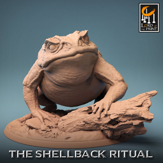 Wild Toads, The Shellback Ritual, Lord of the Print | Dungeons and Dragons | Pathfinder | Table Top RPG | 3D Printed Model