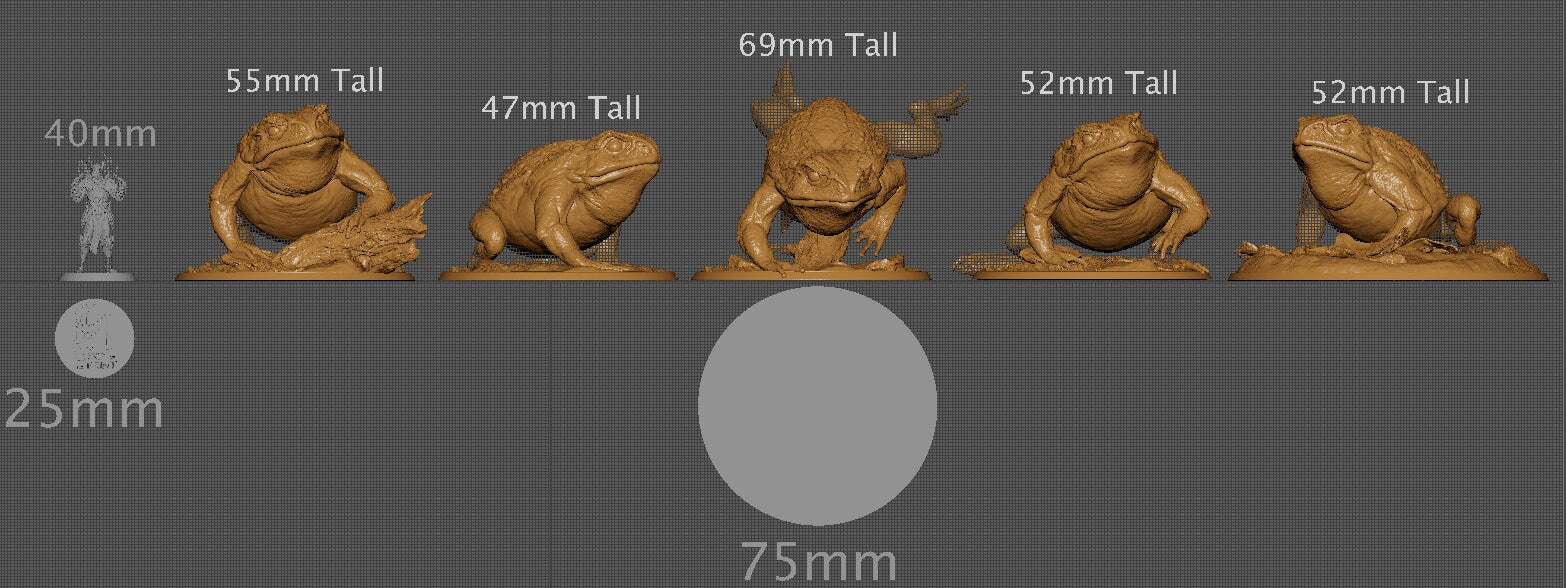 Wild Toads, The Shellback Ritual, Lord of the Print | Dungeons and Dragons | Pathfinder | Table Top RPG | 3D Printed Model
