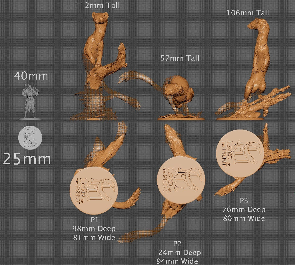 Wild Weasels! The Tale of Archduke Mousin Tome 2, Lord of the Print | Dungeons and Dragons | Pathfinder | Table Top RPG | 3D Printed Model