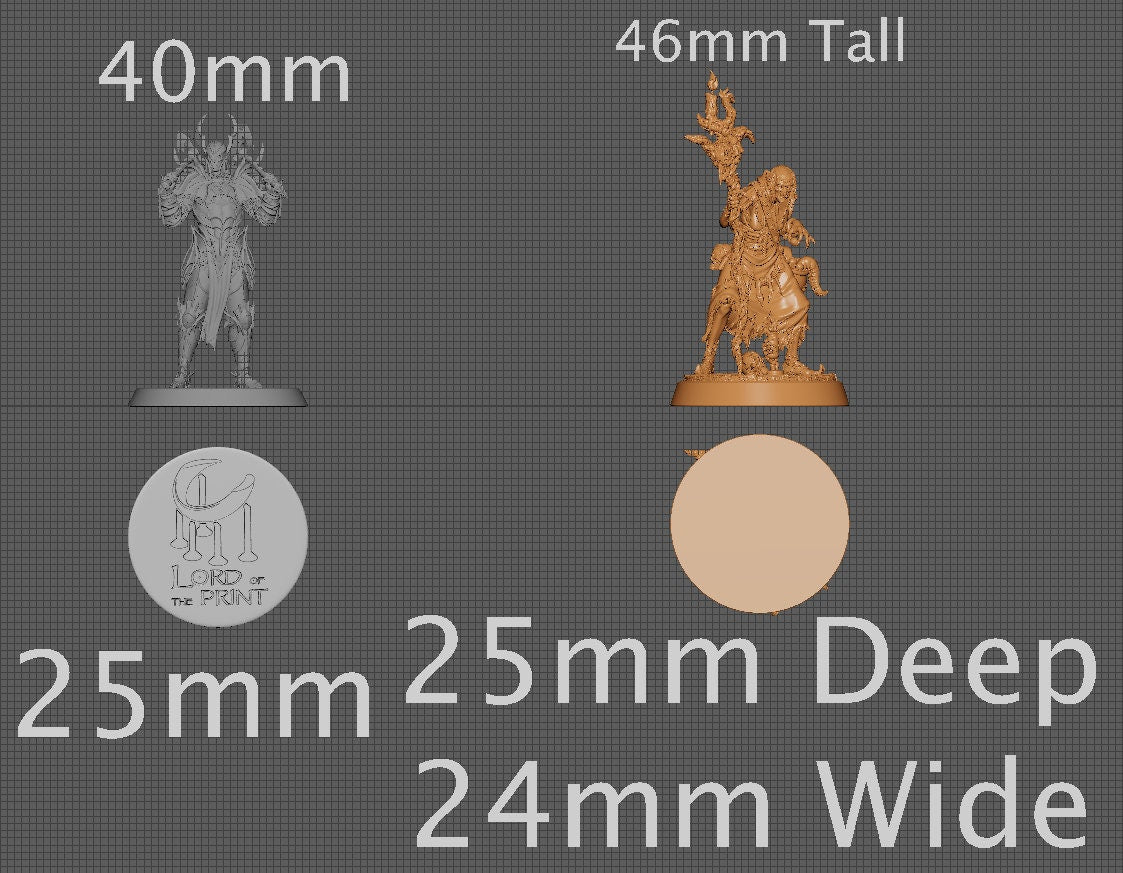 Swamp Hag | Aussie 3D Printed Miniatures and Terrain