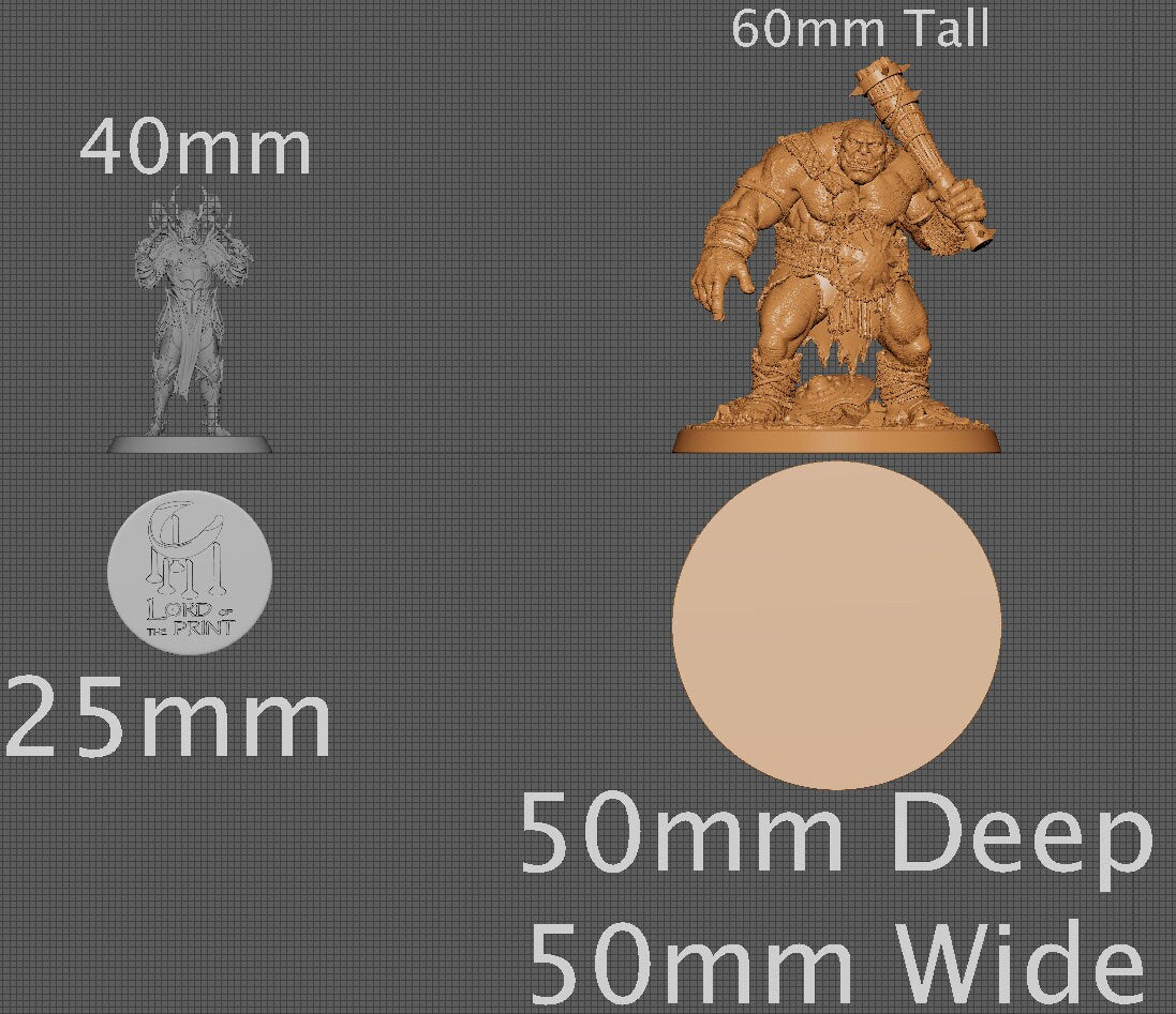 Ogre, Collective Studios | Dungeons and Dragons | Pathfinder | Table Top RPG | 3D Printed Model