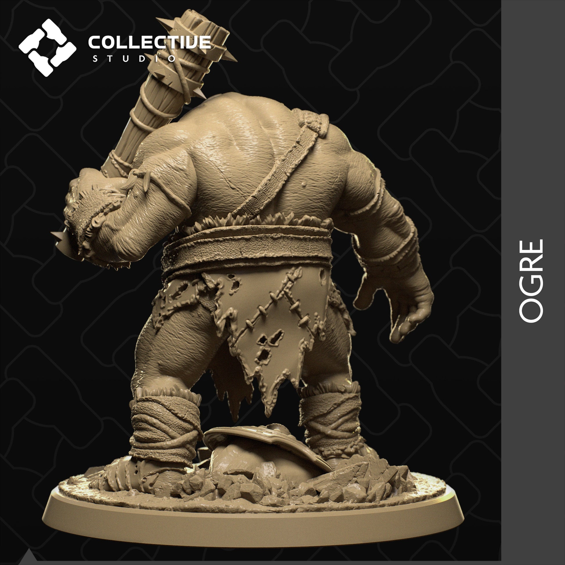 Ogre, Collective Studios | Dungeons and Dragons | Pathfinder | Table Top RPG | 3D Printed Model