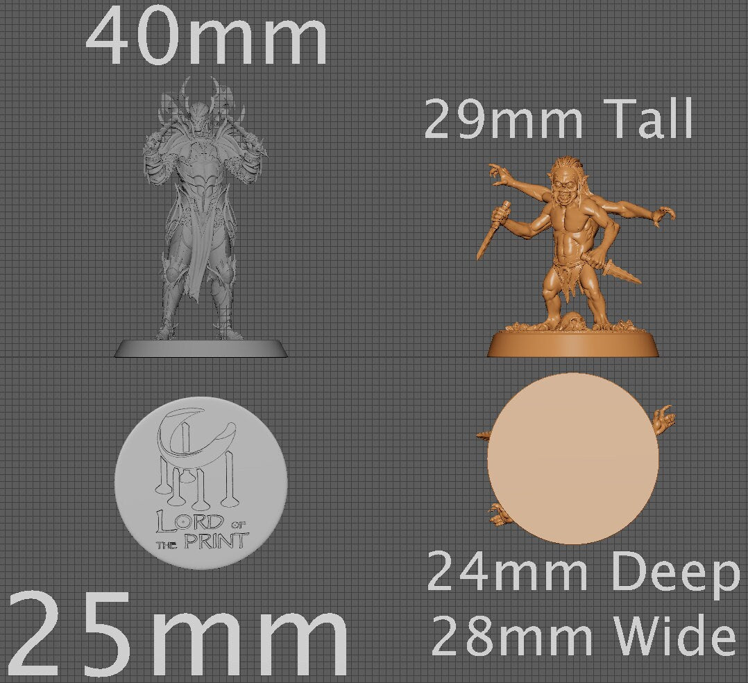 Chitine, Collective Studios | Dungeons and Dragons | Pathfinder | Table Top RPG | 3D Printed Model