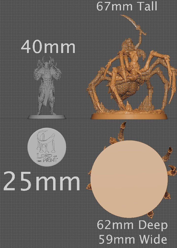 Drider, Collective Studios | Dungeons and Dragons | Pathfinder | Table Top RPG | 3D Printed Model