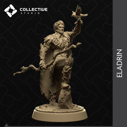 Kailu, Eledrin, Collective Studios | Dungeons and Dragons | Pathfinder | Table Top RPG | 3D Printed Model