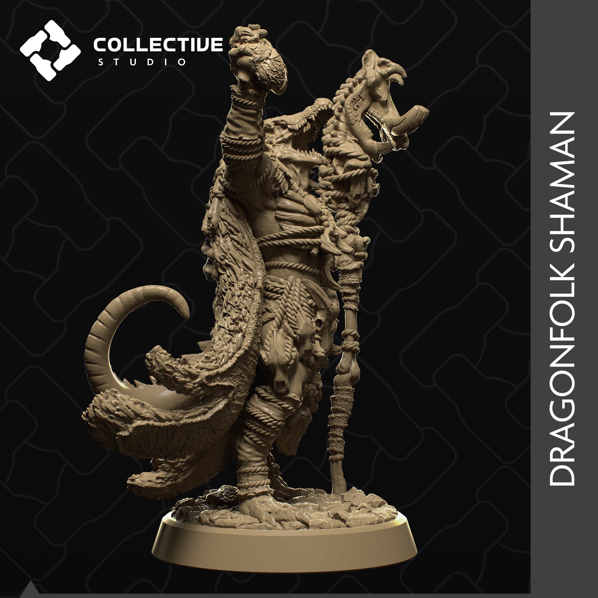 Dragonfolk, Collective Studios | Dungeons and Dragons | Pathfinder | Table Top RPG | 3D Printed Model