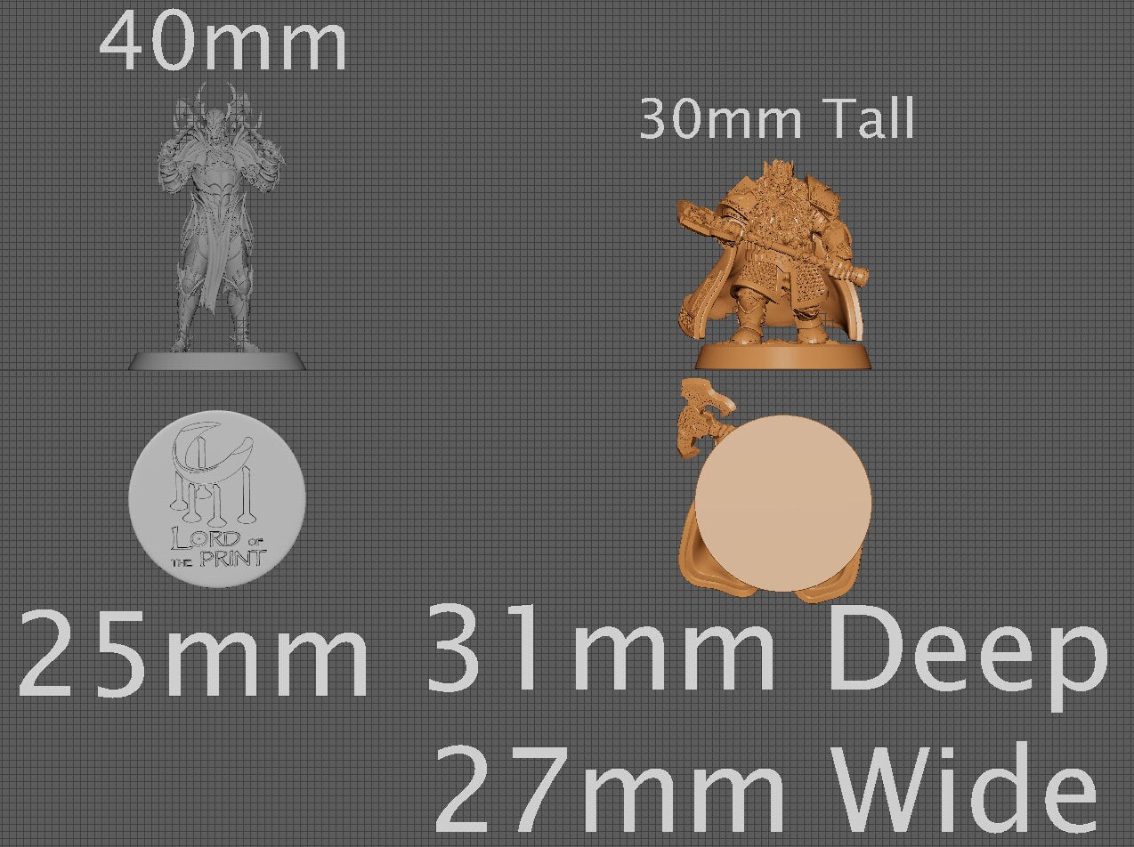 Dwarf King, Collective Studios | Dungeons and Dragons | Pathfinder | Table Top RPG | 3D Printed Model