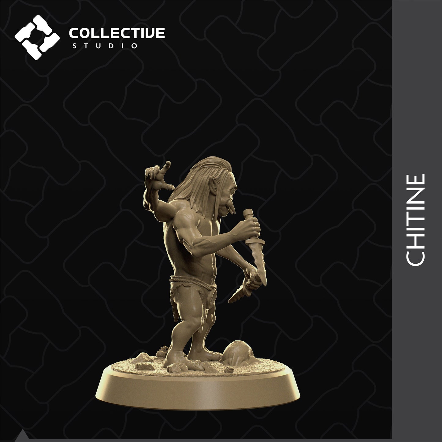 Chitine, Collective Studios | Dungeons and Dragons | Pathfinder | Table Top RPG | 3D Printed Model