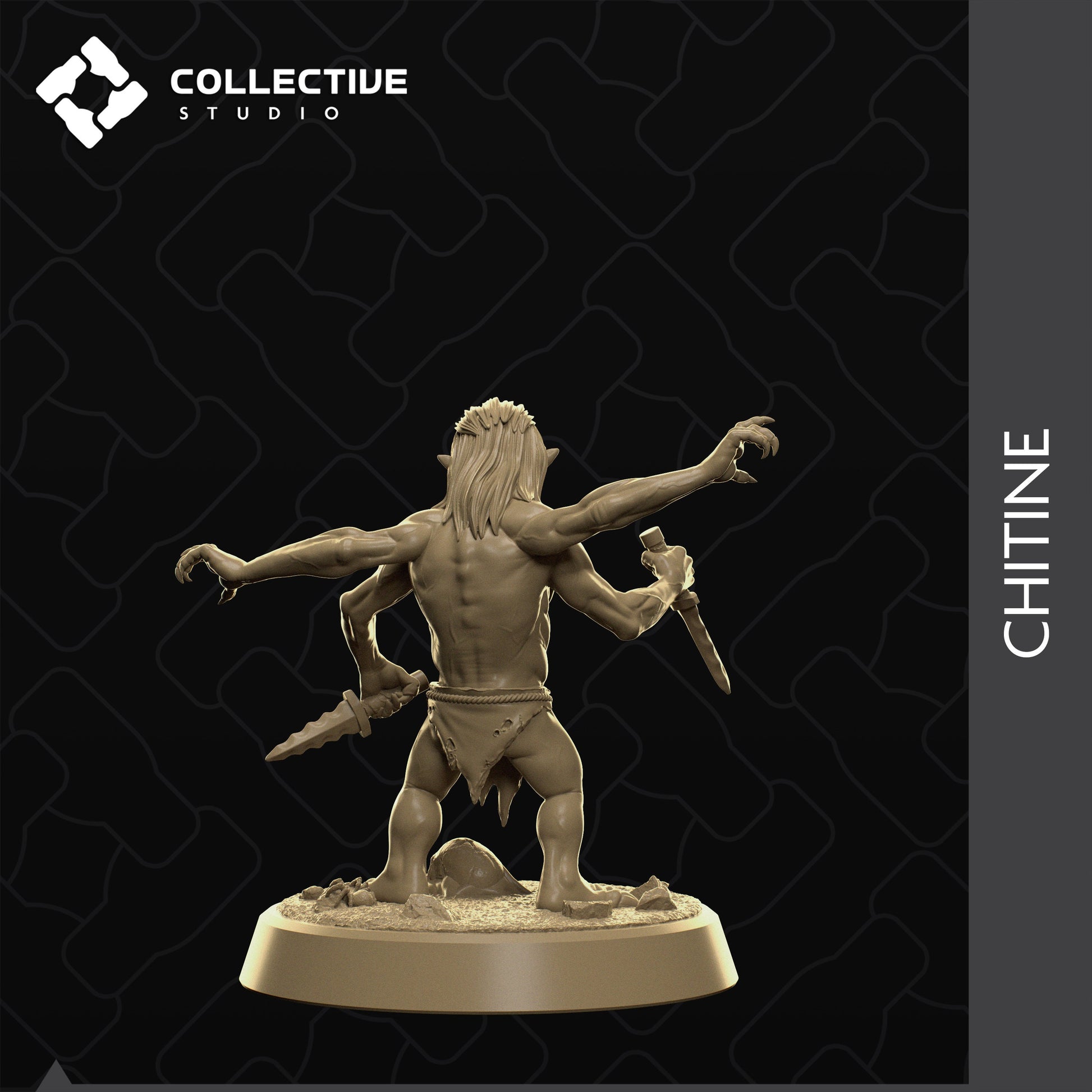 Chitine, Collective Studios | Dungeons and Dragons | Pathfinder | Table Top RPG | 3D Printed Model