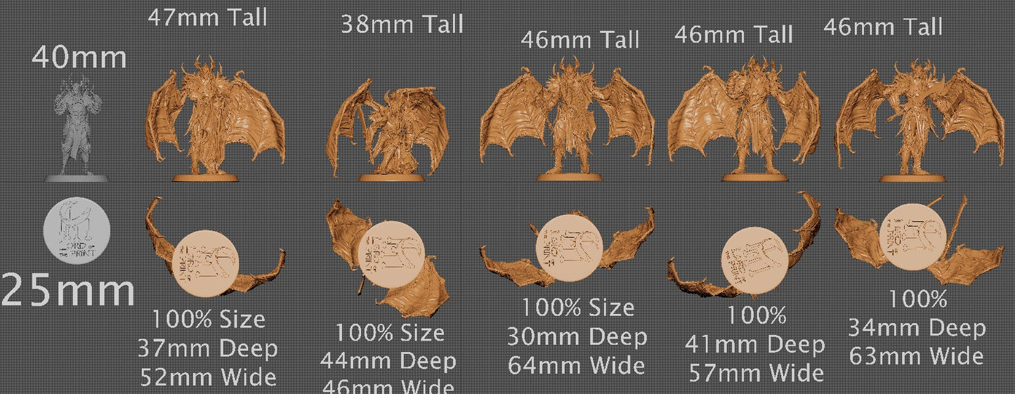 Evernight Soldiers Pack 2, Order Immortalis Vol.2, Lord of the Print | Dungeons and Dragons | Pathfinder | Table Top RPG | 3D Printed Model