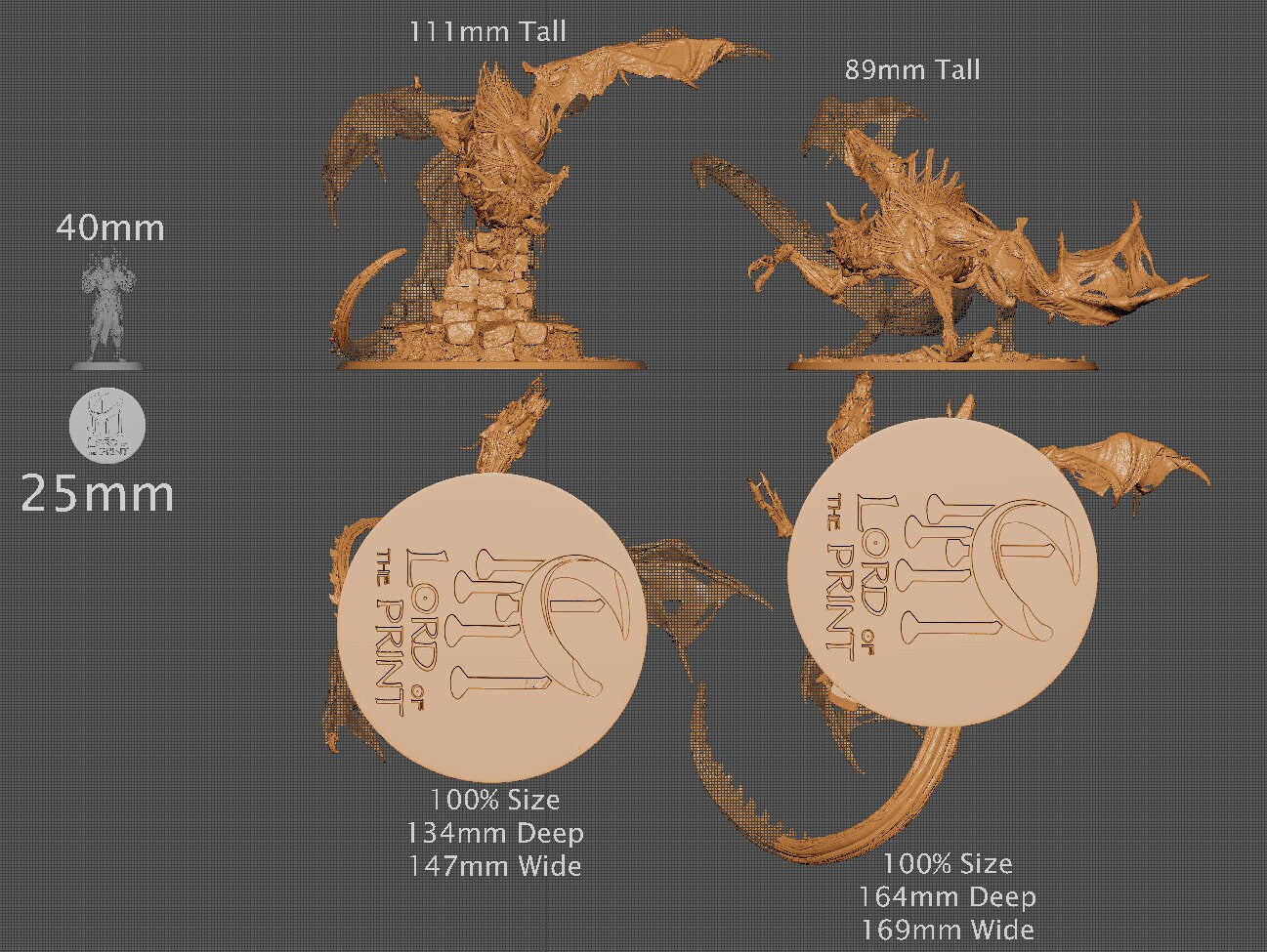 Undead Drake, Order Immortalis Vol.2, Lord of the Print | Dungeons and Dragons | Pathfinder | Table Top RPG | 3D Printed Model