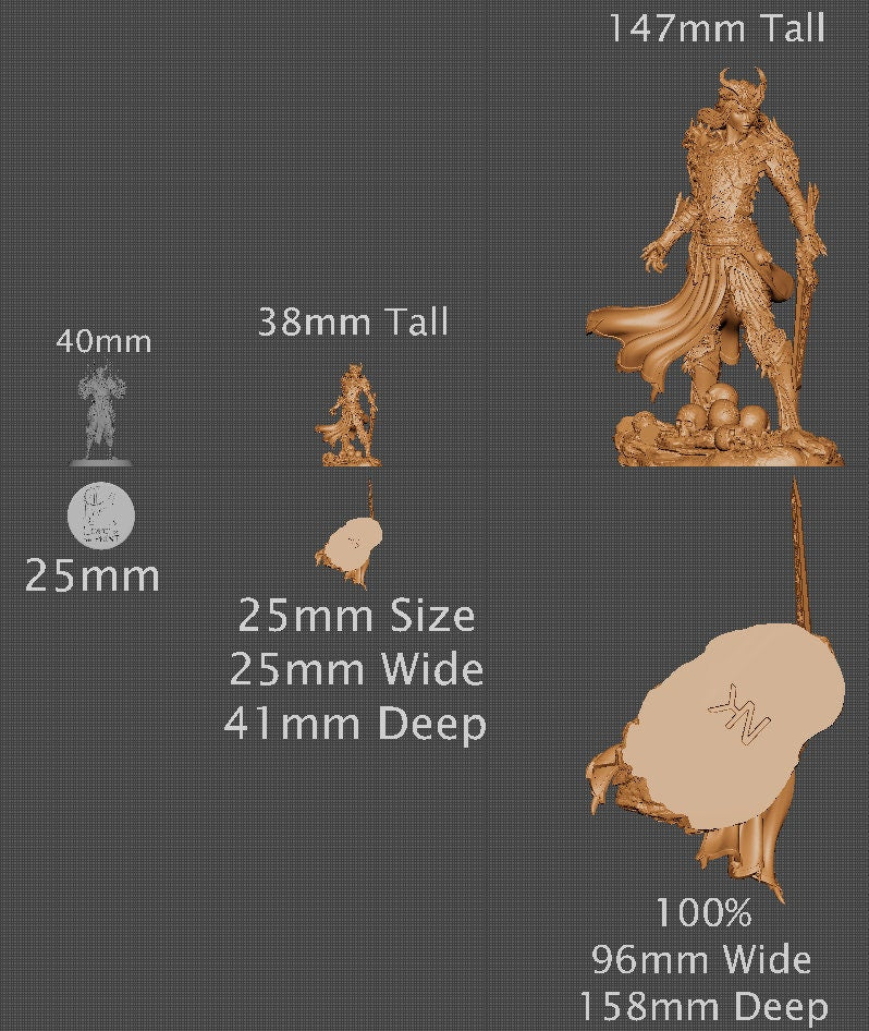 Alheera, Powerful NPC, Ernest Nemirovsky | Dungeons and Dragons | Pathfinder | Table Top RPG | 3D Printed Model