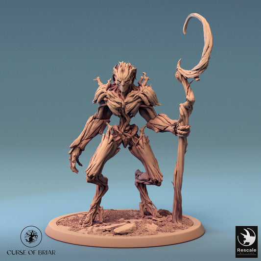 The Barkclad, Pack 1, Rescale Miniatures | Dungeons and Dragons | Pathfinder | Table Top RPG | 3D Printed Model