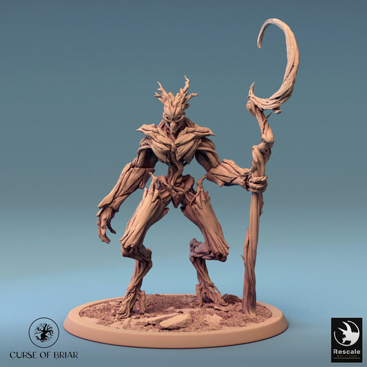 The Thickets, Pack 1, Rescale Miniatures | Dungeons and Dragons | Pathfinder | Table Top RPG | 3D Printed Model