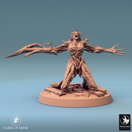 Woodfey, P3, Rescale Miniatures | Dungeons and Dragons | Pathfinder | Table Top RPG | 3D Printed Model
