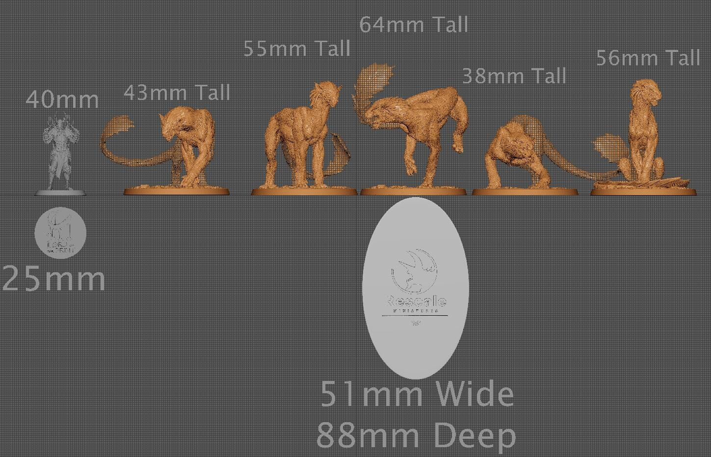 Wild Panthera, Pack 1, Rescale Miniatures | Dungeons and Dragons | Pathfinder | Table Top RPG | 3D Printed Model