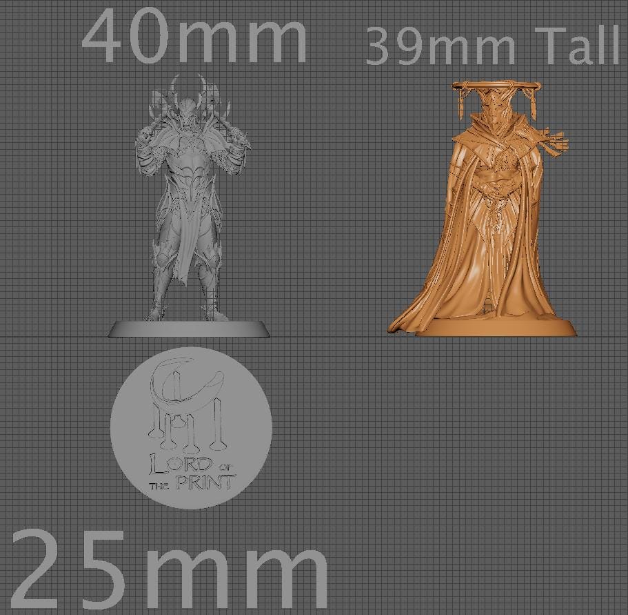 The Sun Priest, Rescale Miniatures | Dungeons and Dragons | Pathfinder | Table Top RPG | 3D Printed Model