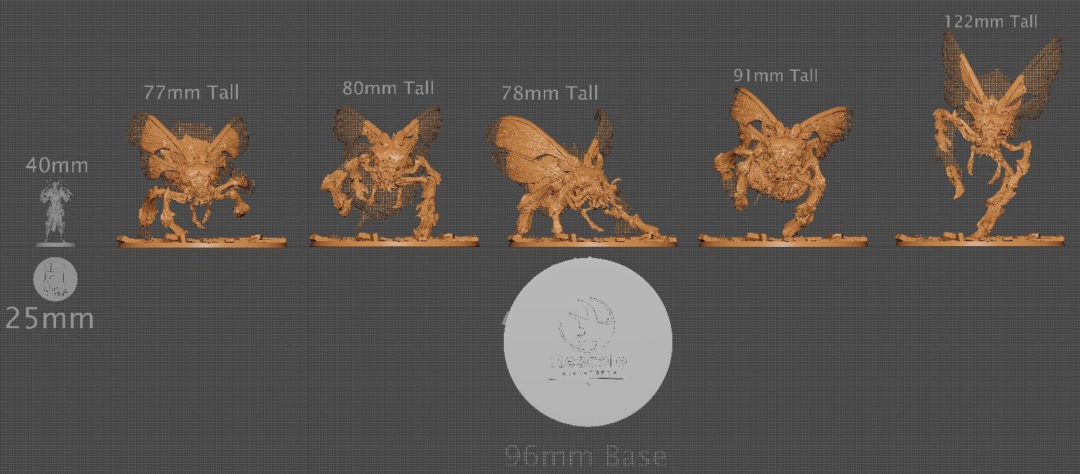 Wild Kharax, Rescale Miniatures | Dungeons and Dragons | Pathfinder | Table Top RPG | 3D Printed Model