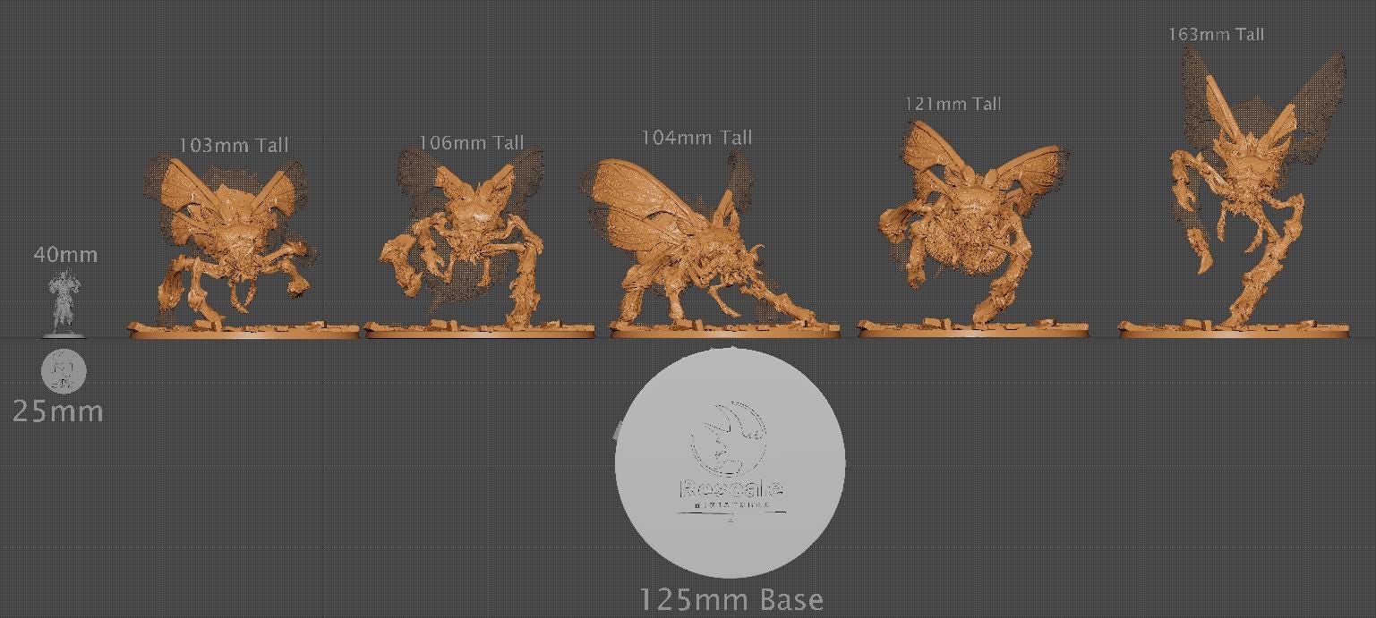 Wild Kharax, Rescale Miniatures | Dungeons and Dragons | Pathfinder | Table Top RPG | 3D Printed Model