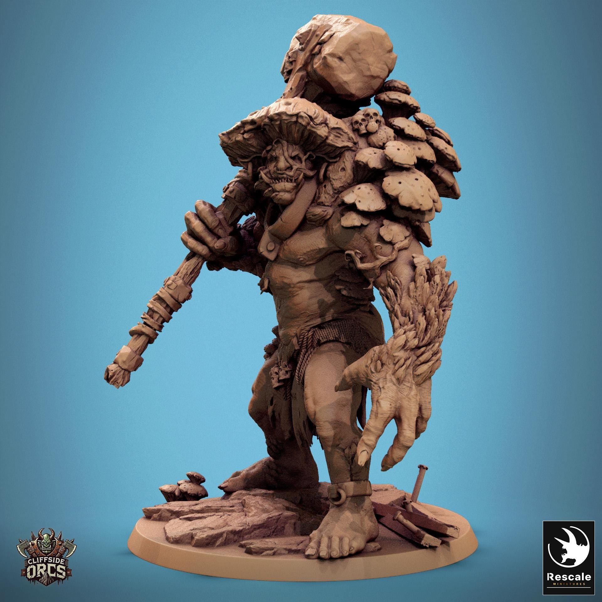 Mycogar, Lord of the Print | Dungeons and Dragons | Pathfinder | Table Top RPG | 3D Printed Model