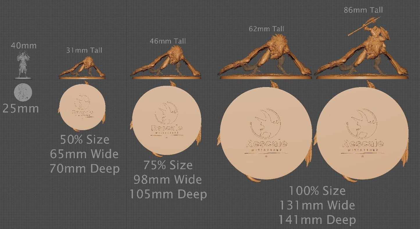 Vultures, Lord of the Print | Dungeons and Dragons | Pathfinder | Table Top RPG | 3D Printed Model