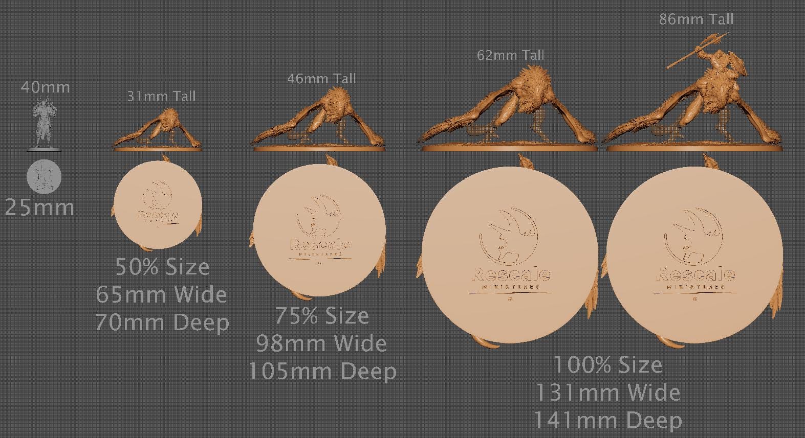Vultures, Lord of the Print | Dungeons and Dragons | Pathfinder | Table Top RPG | 3D Printed Model
