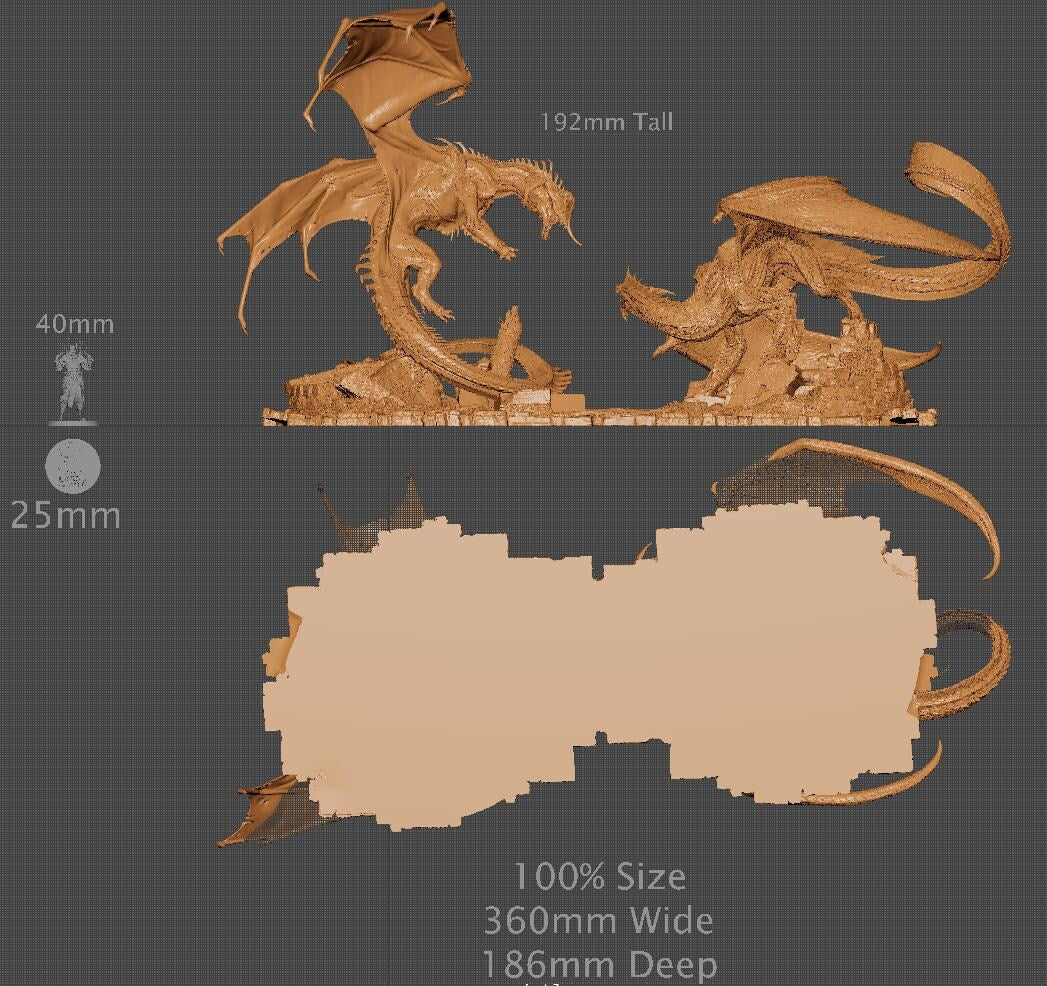 Black Dragon vs Silver Dragon, Lord of the Print | Dungeons and Dragons | Pathfinder | Table Top RPG | 3D Printed Model