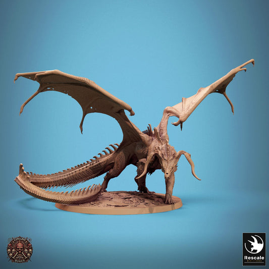 Black Dragon, Multiple Pose Options, Lord of the Print | Dungeons and Dragons | Pathfinder | Table Top RPG | 3D Printed Model