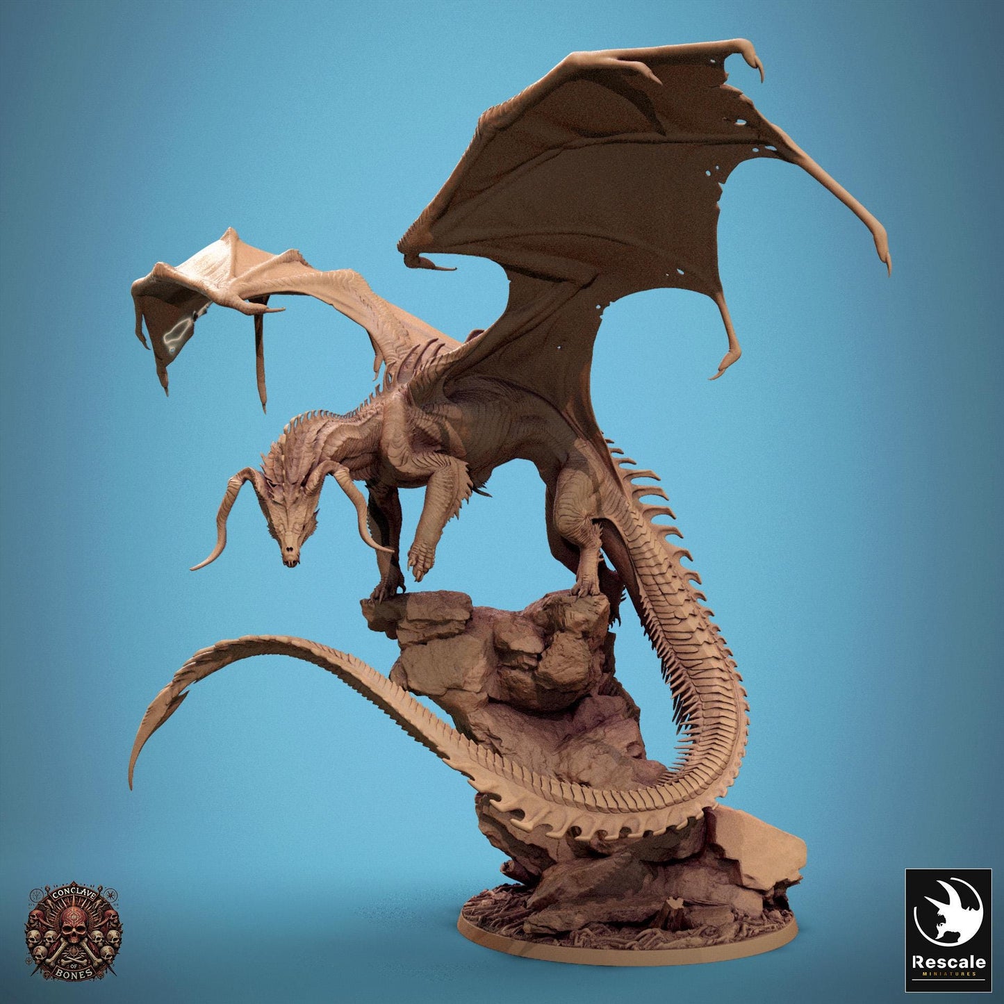 Black Dragon, Multiple Pose Options | Aussie 3D Printed Miniatures and Terrain