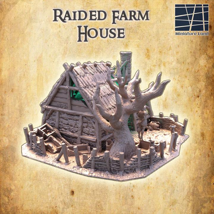 Raided Farm House, Miniature Land | Dungeons and Dragons | Pathfinder | Table Top RPG | 3D Printed Model