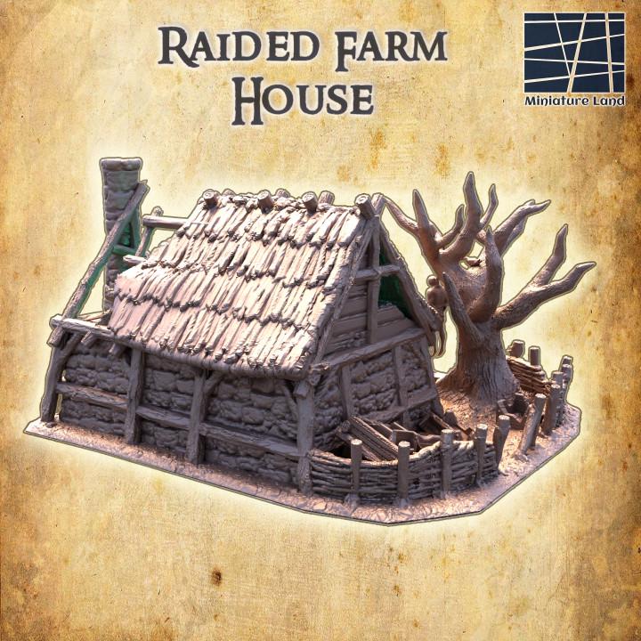 Raided Farm House, Miniature Land | Dungeons and Dragons | Pathfinder | Table Top RPG | 3D Printed Model
