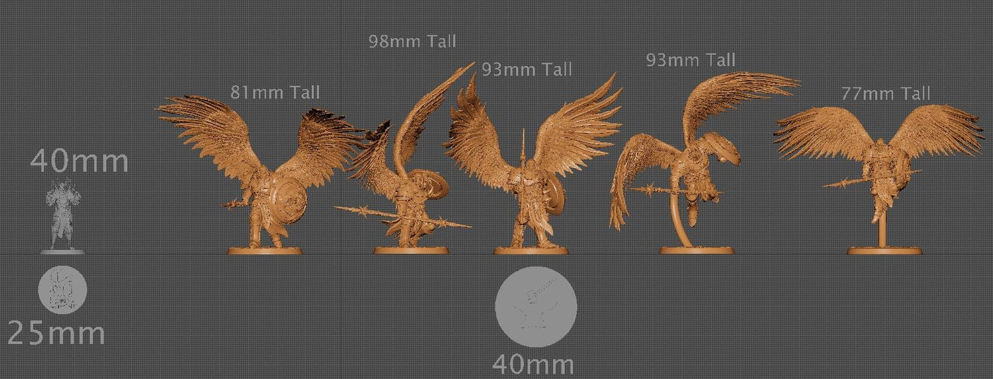 The Ascended Flying Legion, Pack 1, Rescale Miniatures | Dungeons and Dragons | Pathfinder | Table Top RPG | 3D Printed Model