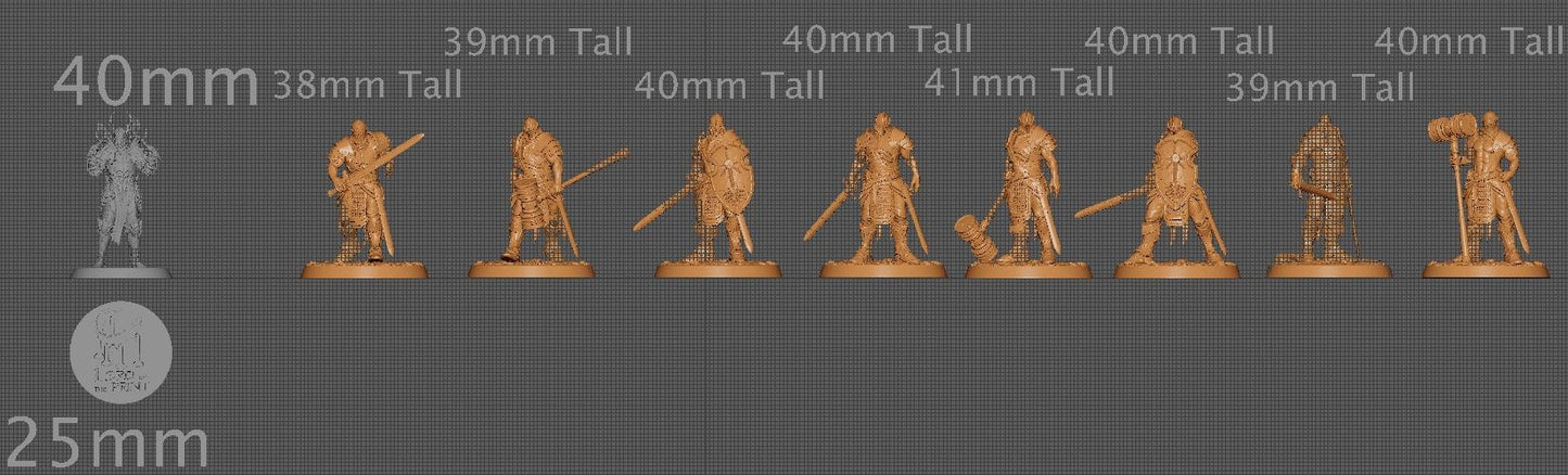 Knights of Valor, Pack 1, Unchained, Lord of the Print | Dungeons and Dragons | Pathfinder | Table Top RPG | 3D Printed Model