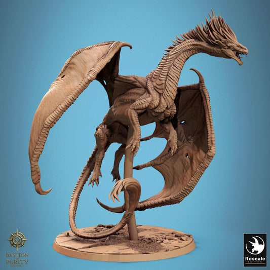 Wild Dragon Watchers, Rescale Miniatures | Dungeons and Dragons | Pathfinder | Table Top RPG | 3D Printed Model