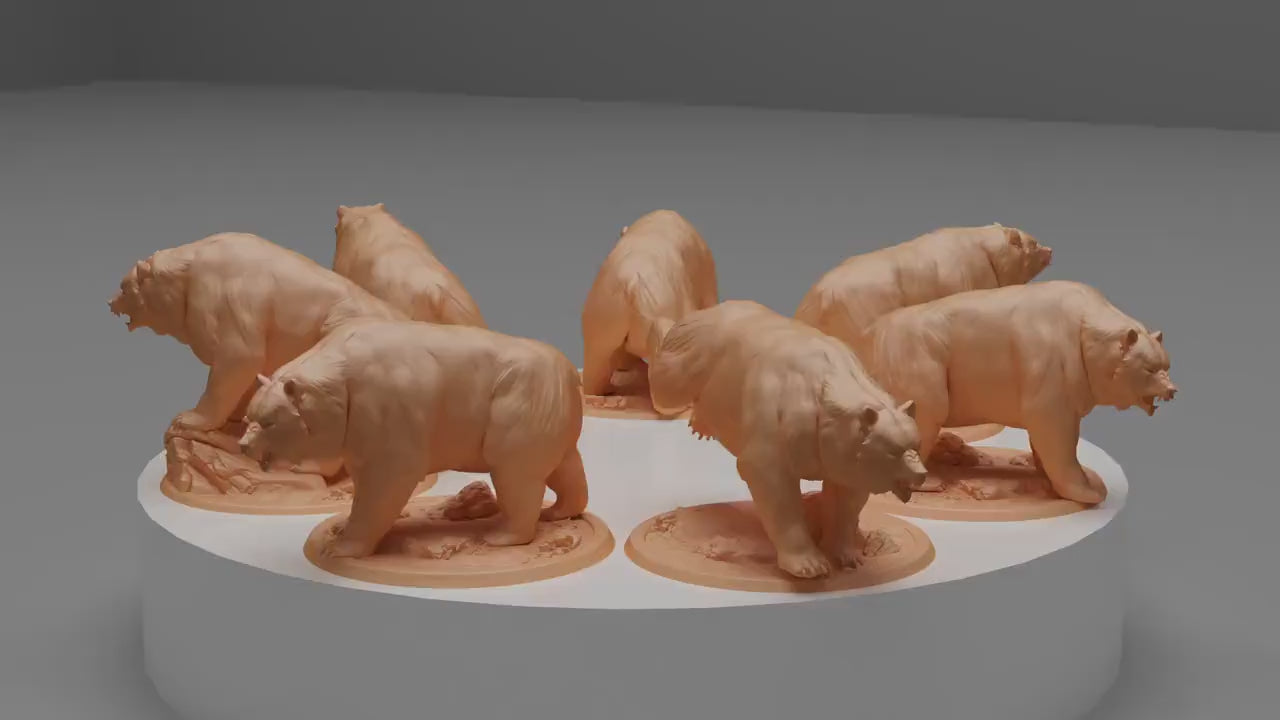 Wild Bears, Lord of the Print | Dungeons and Dragons | Pathfinder | Table Top RPG | 3D Printed Model