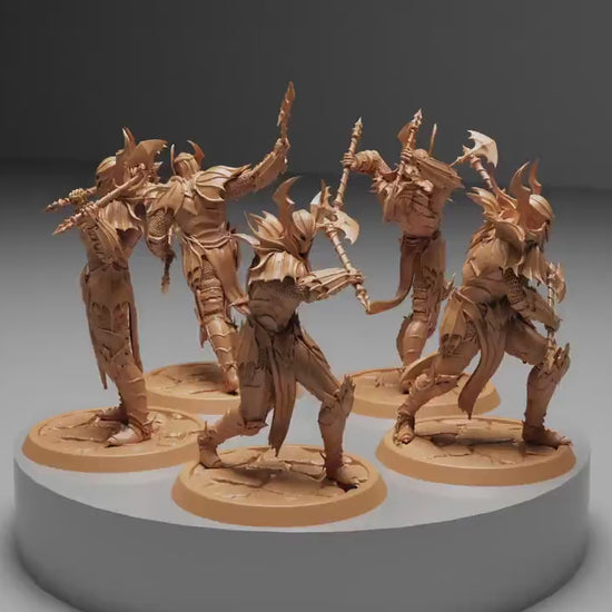 Blood knight Double Axe Squadron, Order Immortalis,  | Dungeons and Dragons | Pathfinder | Table Top RPG | 3D Printed Model