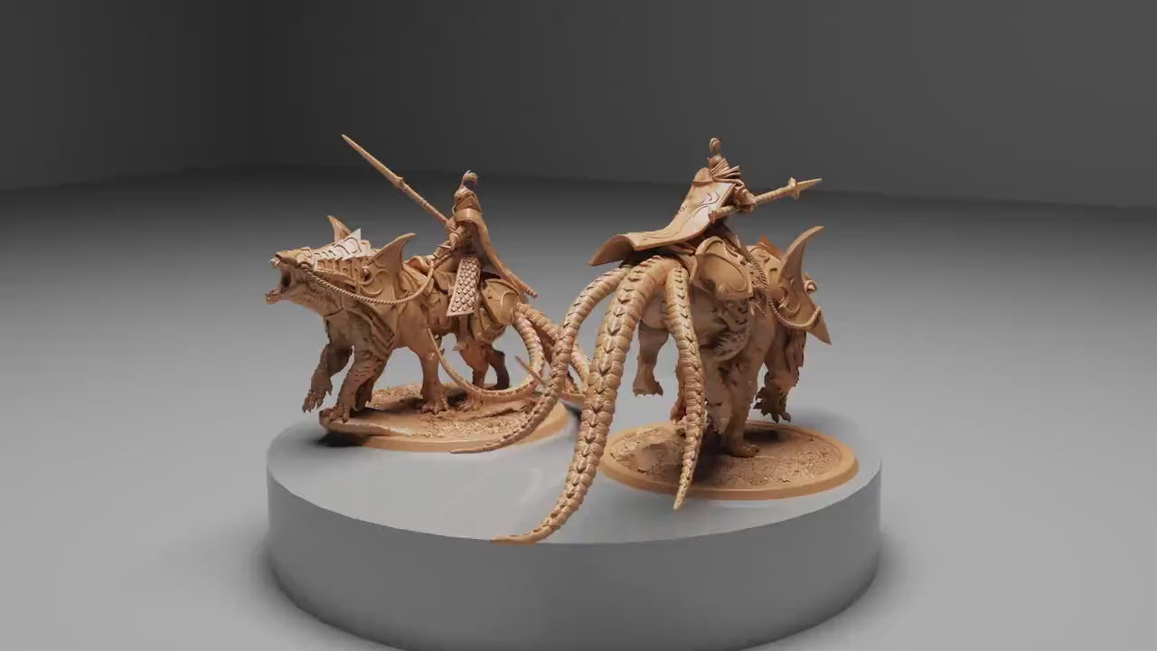 Spear Soldiers on Siri, Kingdom of Nela Dan,  | Dungeons and Dragons | Pathfinder | Table Top RPG | 3D Printed Model
